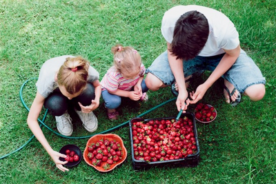 Start Growing Food for Your Family
