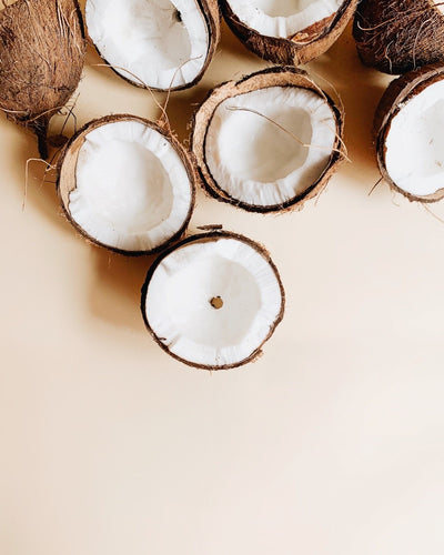 The Environmental Impact of Coconut Production
